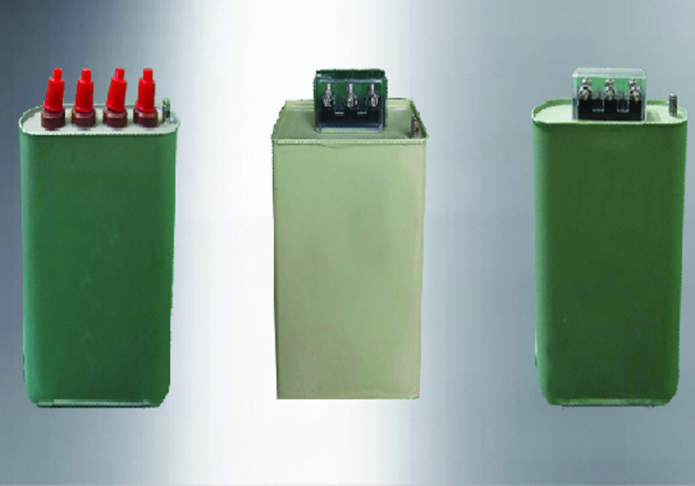 自愈式低电压并联电容器